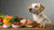 What Foods Should Dogs Avoid Eating: Keeping Our Furry Friends Safe-140130386159