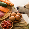 What Foods Should Dogs Not Eat: A Comprehensive Guide for Pet Owners