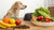 What Foods Stop Dogs from Eating Their Poop: A Comprehensive Guide-140297273583