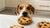 What Happens If a Dog Eats a Chocolate Chip Cookie? Understanding the Risks and Responses-140926681327
