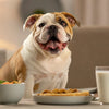 What Happens If a Dog Eats Onions: Understanding Onion Toxicity in Dogs