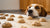 What Happens If a Dog Eats Raw Cookie Dough: Understanding the Risks and Remedies
