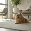 What Happens If a Dog Eats Too Many Treats: Understanding the Risks and Solutions