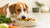 What Happens if a Dog Only Eats Human Food?