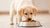 What Happens If a Puppy Eats Dog Food: Understanding Nutritional Needs and Safety