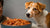 What Happens When a Dog Eats Spicy Food?-140131860719
