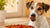 What Happens When a Dog Eats Spicy Food? Understanding the Risks and Remedies