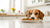 What Happens When Dogs Eat Human Food: A Thorough Exploration-140408783087