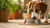 What Height Should My Dog's Food Bowl Be? A Comprehensive Guide for Pet Owners