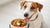 What Helps a Dog Gain Weight Fast: A Comprehensive Guide for Pet Owners