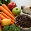 What High Fiber Foods Can Dogs Eat: A Guide to Healthy Digestion