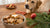 What Holiday Foods Can Dogs Eat? A Comprehensive Guide for Pet Owners