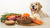 What Human Food Can Dogs Eat and Not Eat: A Comprehensive Guide-140404523247