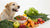 What Human Food Can Dogs Eat Every Day?