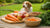 What Human Food Can Dogs Eat Safely? Exploring Safe Treats for Your Furry Friends