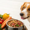 What Human Food Can Dogs Eat with Kidney Disease?