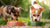 What Human Food Can Small Dogs Eat? A Comprehensive Guide for Pet Owners