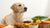 What Human Food Dogs Can't Eat: A Comprehensive Guide for Pet Owners-140302450927