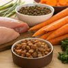 What Human Food Should Dogs Eat for Health and Safety