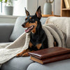 What Human Foods Can Puppies Eat? A Comprehensive Guide for Dog Lovers
