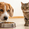 What If My Dog Accidentally Eats Cat Food? Understanding the Risks and Preventive Measures
