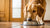 What If Your Dog Is Not Eating Food? Understanding the Reasons and Solutions-140135399663