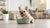 What Ingredients to Avoid in Dry Dog Food for Optimal Pet Health