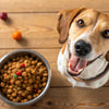 What is a Good Affordable Dry Dog Food? Exploring Quality Options for Budget-Conscious Pet Owners