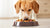 What is a Good Dog Food for Weight Loss? A Comprehensive Guide for Pet Owners