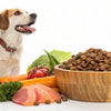 What is a Good Dry Dog Food? A Comprehensive Guide for Pet Owners
