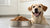 What is a Good Wet Food for Dogs? A Comprehensive Guide for Pet Parents