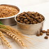 What Is a Grain in Dog Food? Understanding the Role of Grains in Canine Diets