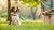 What is Behavior Modification for Dogs: Understanding and Transforming Your Pup's Responses-141094813935