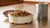What is Better: Dry or Wet Dog Food?