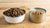 What is Better for a Dog: Dry or Wet Food?