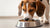 What is Better for Dogs: Wet or Dry Food?