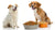 What is Better: Grain-Free or Grain Dog Food?