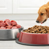 What Is Better: Raw or Dry Dog Food?
