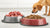 What Is Better: Raw or Dry Dog Food?