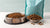 What is Better: Wet or Dry Food for Dogs?