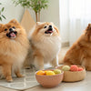 What is Canned Dog Food Made Of? Understanding the Ingredients and Benefits