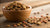 What is Considered the Best Dry Dog Food? A Comprehensive Guide