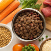 What Is Dog Kibble Made Of? Understanding the Ingredients Behind Your Dog's Food