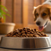 What is Dry Extruded Dog Food and How Does It Affect Your Pet's Health?