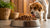 What is Dry Extruded Dog Food and How Does It Affect Your Pet's Health?