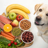 What Is Good Food for Dogs to Eat?