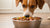 What is Good Wet Dog Food? A Comprehensive Guide for Pet Owners