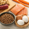 What is High Protein Food for Dogs: A Comprehensive Guide