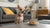 What Is In Canned Dog Food: An In-Depth Look at Ingredients, Benefits, and Expert Insights
