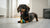 What Is In Grain Free Dog Food? Understanding Ingredients, Benefits, and Considerations